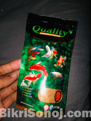 Fish Aquarium